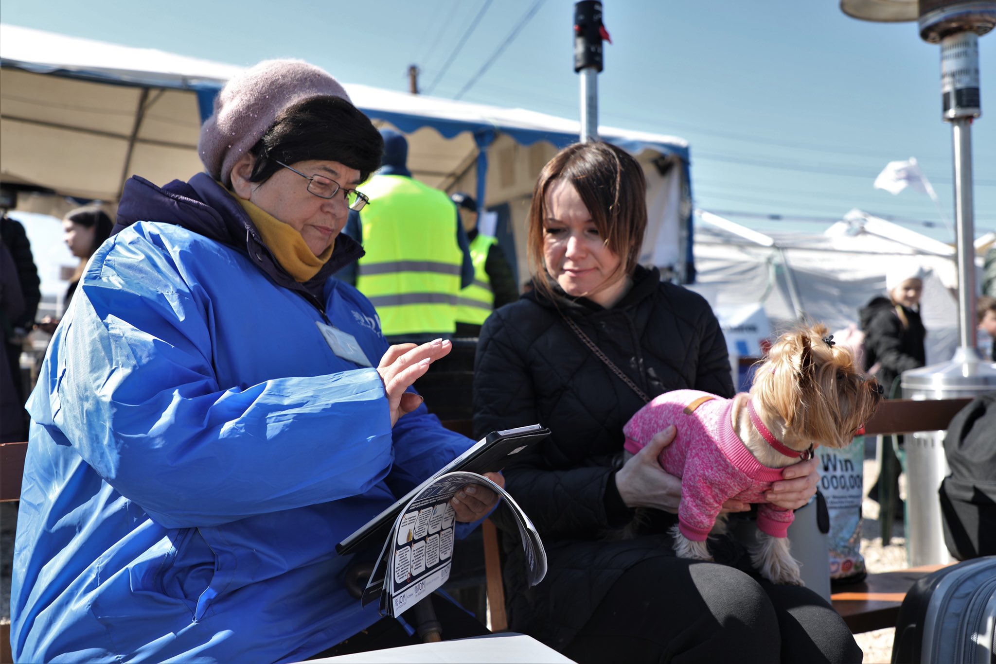 Sondaj cu privire la strămutarea persoanelor refugiate din Ucraina și cetățeni ai statelor terțe
