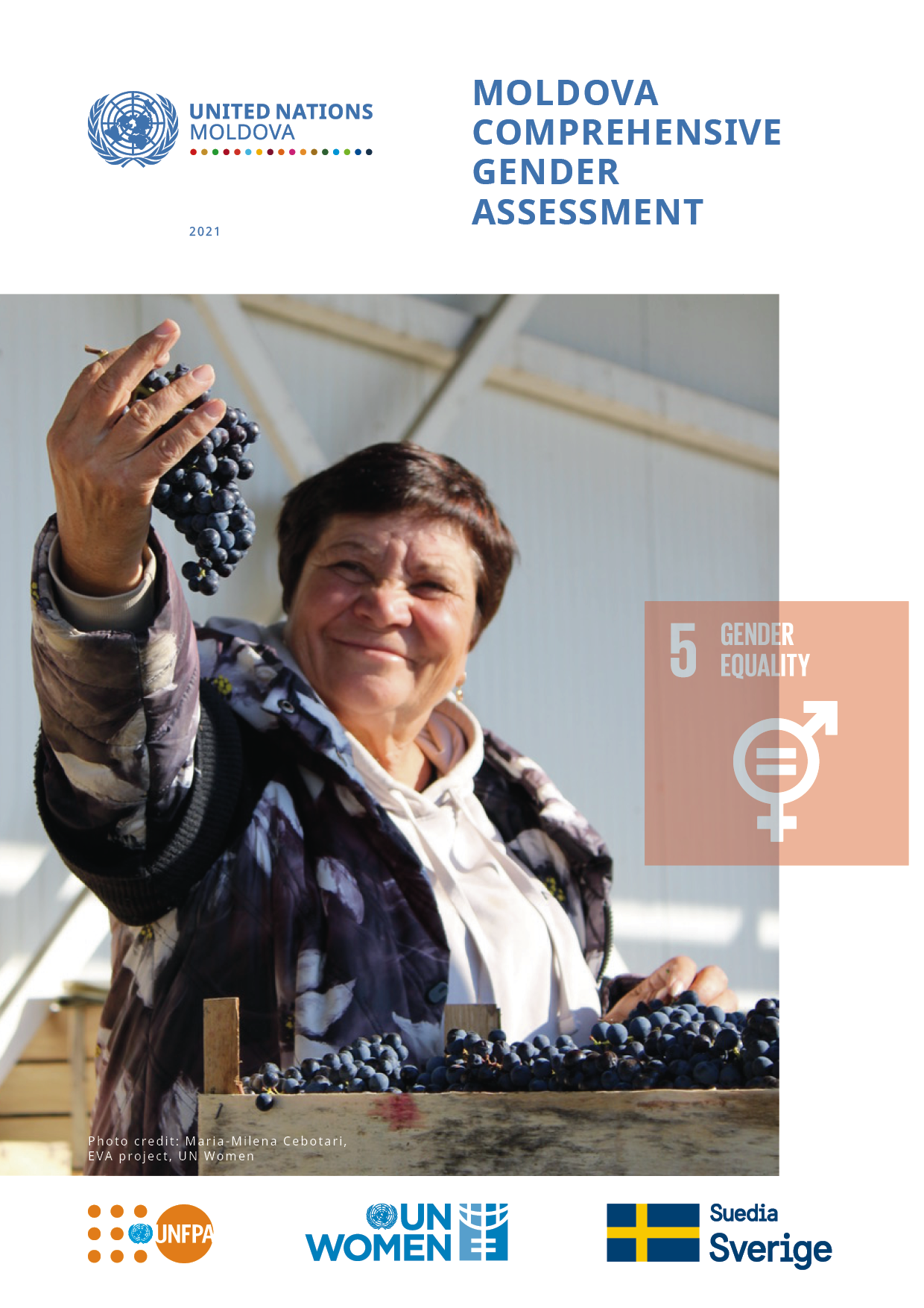 Moldova Comprehensive Gender Assessment