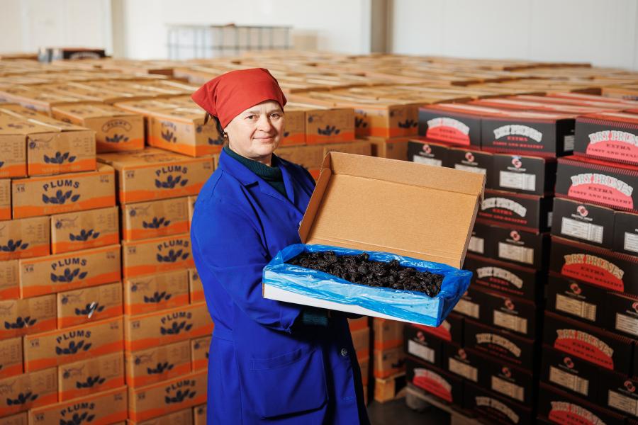 The Străisteni “jewel in the crown” makes easier plums’ road to export 